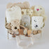 Baby Gift Basket